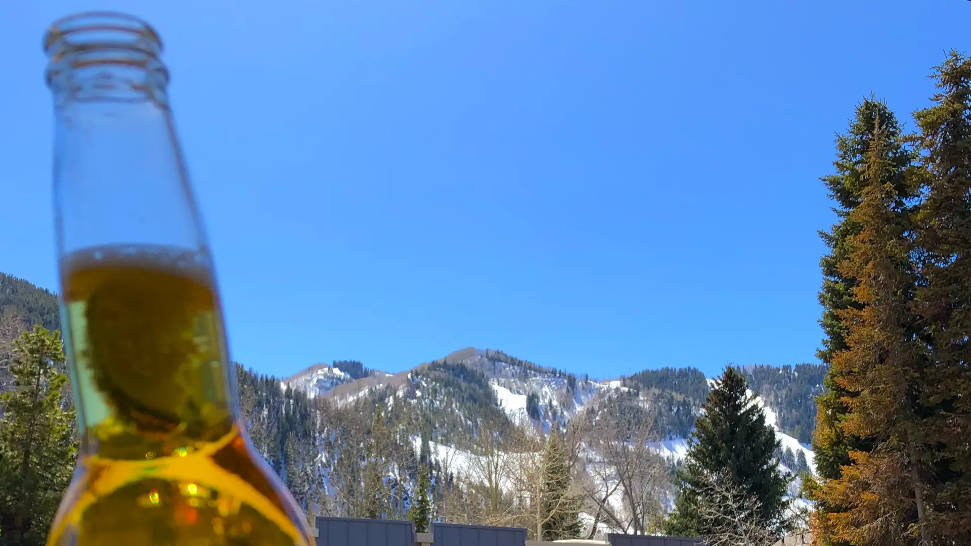 Aspen Colorado road trip